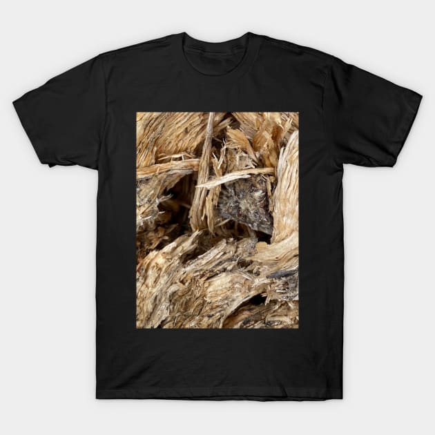 Wood Forest Natur T-Shirt by BurunduXX-Factory